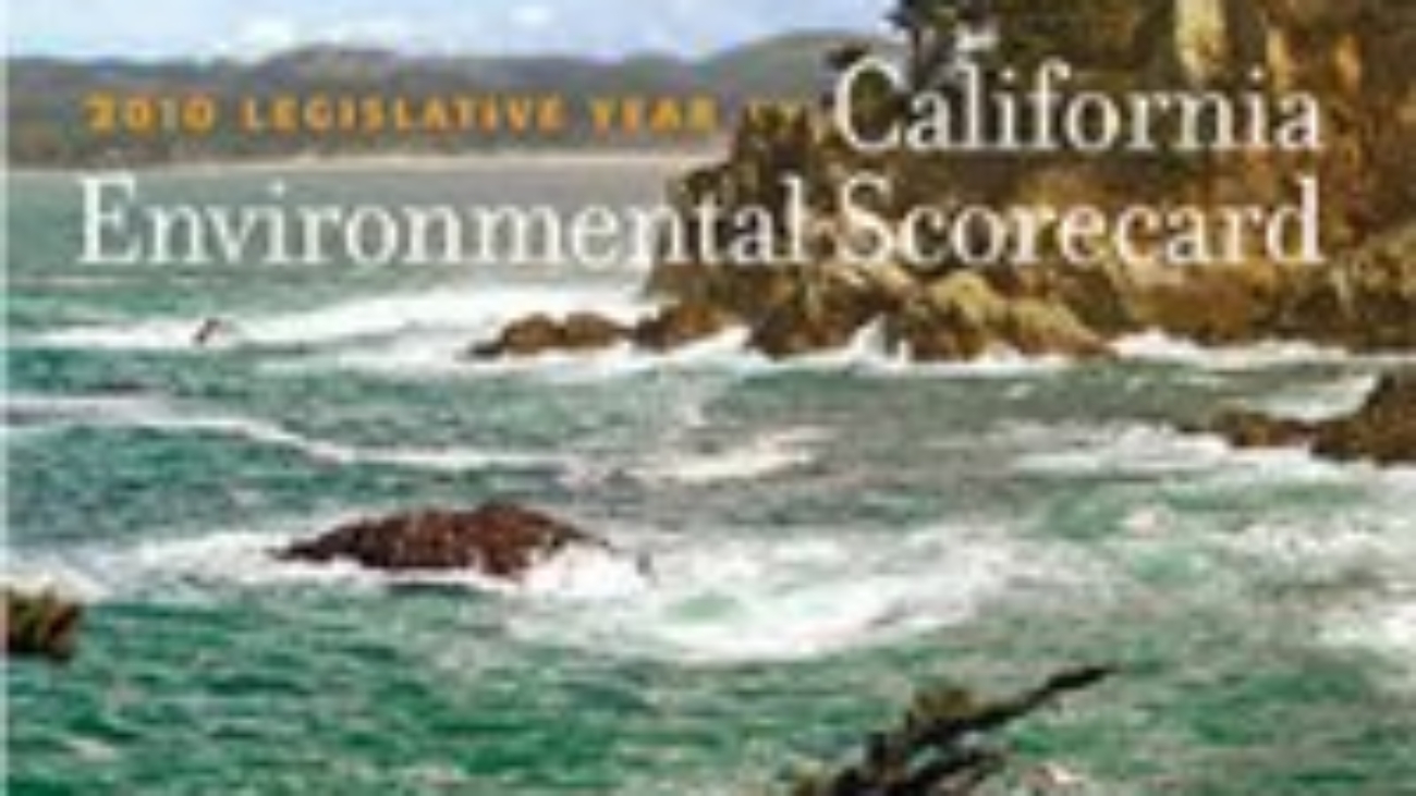 clcv-scorecard-2010-300